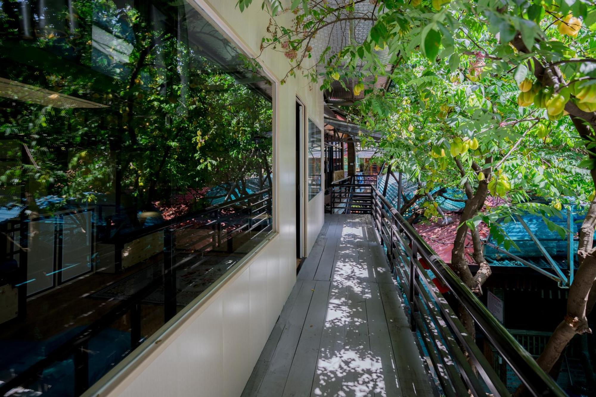 City Garden Hostel นิญบิ่ญ ภายนอก รูปภาพ